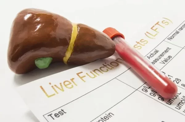 Liver Function Test - Maxi