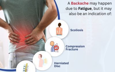 Backache May Happen Due to Fatigue?